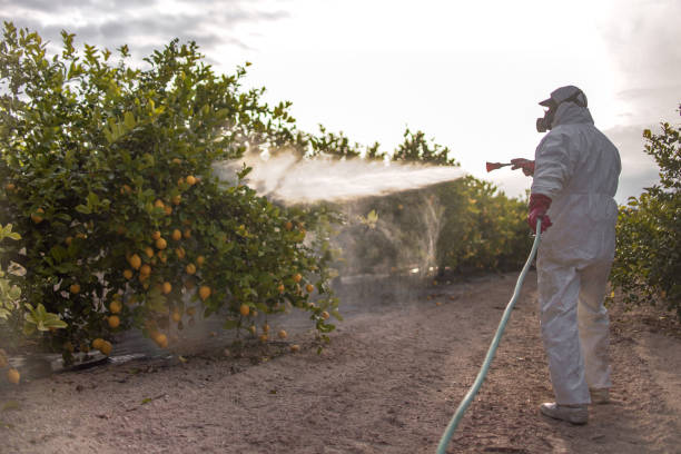 Best Pest Prevention Services  in Shenandoah, IA