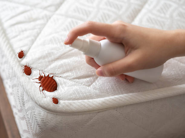 Pest Prevention Services in Shenandoah, IA