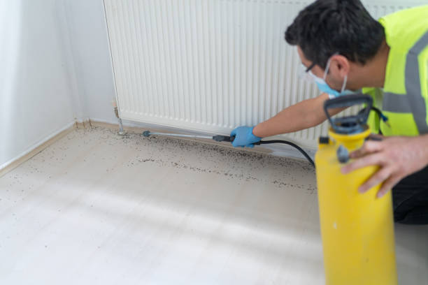 Best Local Pest Control Services  in Shenandoah, IA