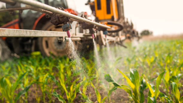 Trusted Shenandoah, IA Pest Control Experts