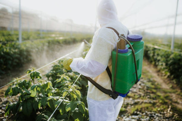 Best Best Pest Control Companies  in Shenandoah, IA